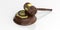 3d rendering euro symbol and an auction gavel