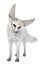 3D Rendering Fennec Fox on White