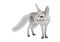 3D Rendering Fennec Fox on White