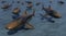 3D rendering. A flock of stone sharks hover over the water, illustration, background, picture, print