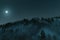 3d rendering of foggy mountain surrounded by pine trees in the starry night illuminated with moonlight