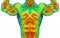 3d rendering. Front side top part of Human muscle body scan by infrared ray structure measure with clipping path isolated