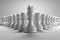 3D rendering front view of many pawn chess with leader in front of them in white background wallpaper
