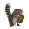 3D Rendering Gambian Sun Squirrel on White