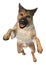 3D Rendering German Shepherd on White