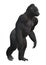 3D Rendering Gorilla on White