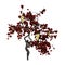 3D Rendering Grapevine Plant on White