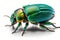 3d rendering of Green June Beetle Bug isolated on transparent background, Generative AI