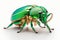 3d rendering of Green June Beetle Bug isolated on transparent background, Generative AI