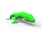 3d rendering of a green lizard isolated in white studio background