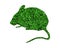 3D rendering of a green mouse isolated on white background