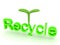 3D Rendering of green recycle text with plant above