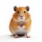 3d Rendering Of Hamster: Dark, Expressive, And Isolated On White Background