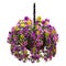 3D Rendering Hanging Basket with Calibrachoa Flowers on White