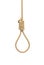 3d rendering of a hangman`s noose made of natural beige rope hanging on a white background.