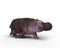 3D rendering of a Hippopotamus running isolated on a white background