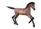 3D Rendering Horse Foal on White