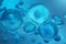 3D Rendering human or animal cells on blue background. Concept Early stage embryo Medicine scientific concept, Stem cell