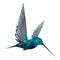 3D Rendering Hummingbird on White