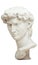 3D rendering illustration of Head of Michelangelo`s David