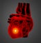 3D rendering illustration of heart