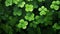 3D rendering image featuring lush green clovers