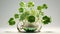 3D rendering image featuring lush green clovers