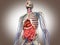 3D Rendering Intestinal internal organ