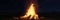 3d rendering of large bonfire with sparks and particles in front of forest and starry sky