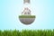 3d rendering of light bulb with house on green lawn and with gravel road inside, hanging above green grass on light blue