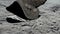 3D rendering. Lunar astronaut walking on the moon's surface and leaves a footprint in the lunar soil. CG Animation