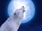 3D rendering of a majestic white wolf howling in moonlight