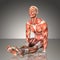 3d rendering of a male anatomy figure in exercise pose