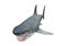 3D Rendering Megalodon Shark on White