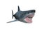 3D Rendering Megalodon Shark on White