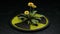 3d rendering of a metal symbol, a radiation sign. The sign is destroyed by a grown dandelion flower. The idea of the victory of