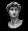 3D rendering of Michelangelo`s David bust isolated on black.