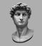 3D rendering of Michelangelo`s David bust isolated on gray