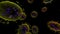 3d rendering Microscope virus- bacteria close up. Animation loop at 1 min. The medical panoramic background