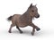 3D rendering of a miniature horse