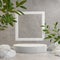 3d Rendering Modern Mockup Display Shelves, White Window, Concrete Background