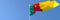 3D rendering of the national flag of Cameroon waving in the wind