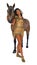 3D Rendering Native American Woman and Horse