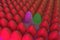 3D rendering of numerous eggs, arranged in rows