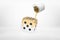 3d rendering of paint can spilling golden paint on white dice in mid-air on white background.