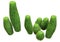 3D Rendering Peanut Cactus on White