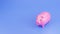 3D rendering. Piggy bank or money box on blue background with savings money concept. Pink money box and savings idea concept