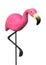 3D Rendering Pink Flamingo on White