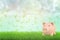 3d rendering of pink piggy bank with money dollars in the air on green grass and white clouds background