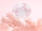 3d rendering pink scene winter new year concept abstract clear sphere snowflake